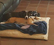Jessie & Bailey