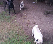 Jessie & Bailey
