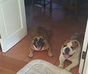Chuck & Penny