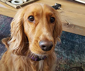 Winnie